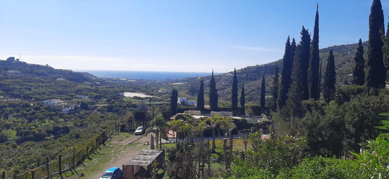 Antigua Finca De Ayo Y Karina Villa Frigiliana Buitenkant foto