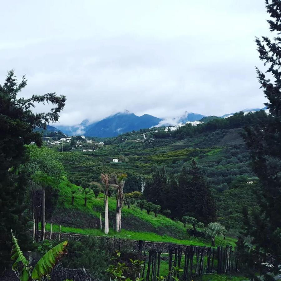 Antigua Finca De Ayo Y Karina Villa Frigiliana Buitenkant foto